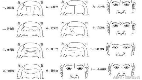 双法令纹|男人双法令纹面相图解，法令纹面相图解大全, 男人法令纹面相